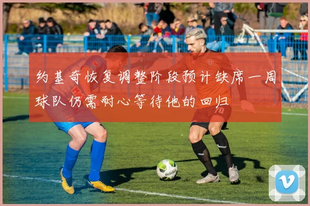 约基奇恢复调整阶段预计缺席一周球队仍需耐心等待他的回归