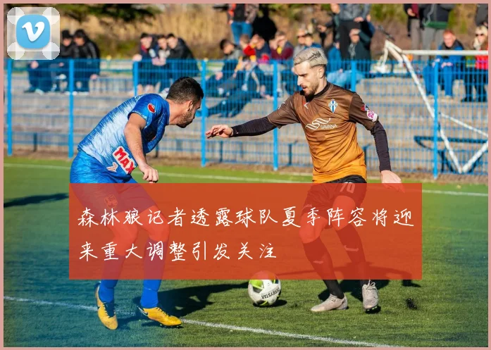 森林狼记者透露球队夏季阵容将迎来重大调整引发关注